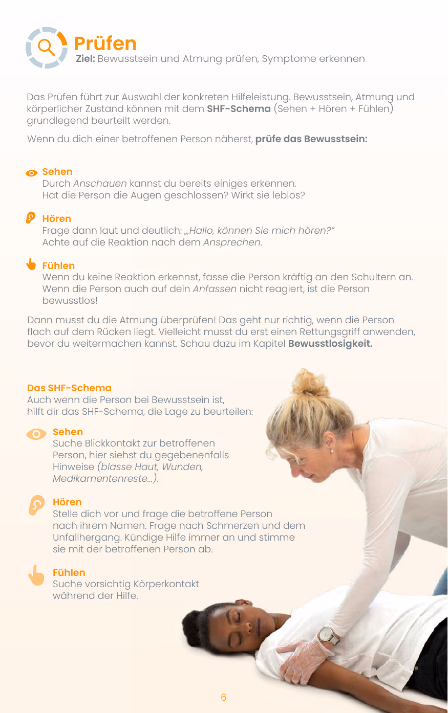 Notfallregel Prüfen und das SHF-Schema